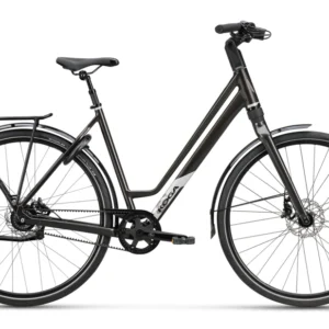 Koga F3 6.0 2024
